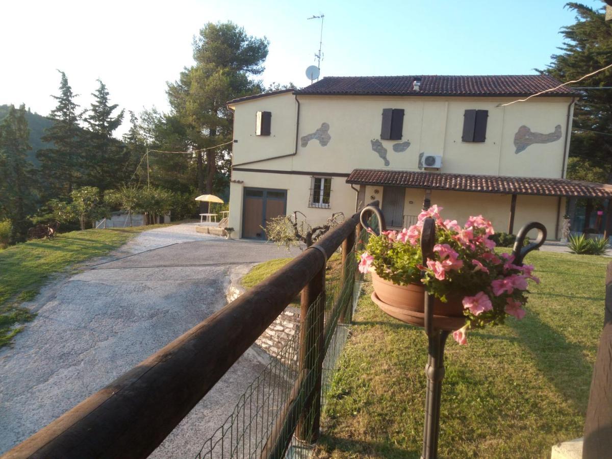 B&B Marcello & Francesca Urbino Buitenkant foto